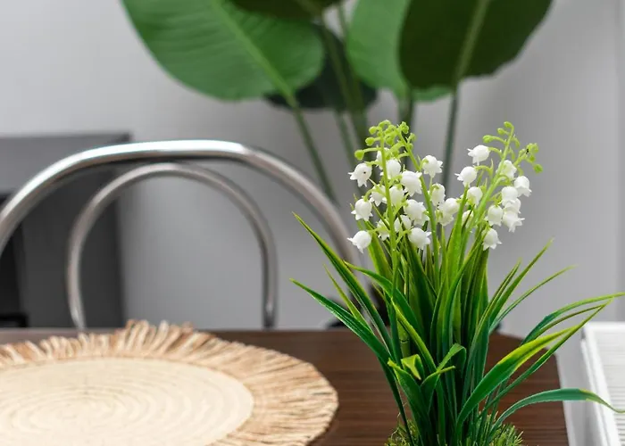 Enjoy - Skylight 公寓